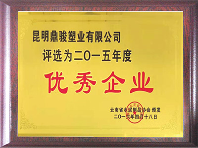 BBIN宝盈集团2015年度杰出企业