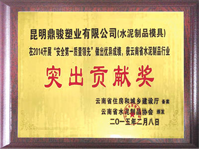 BBIN宝盈集团突出贡献奖