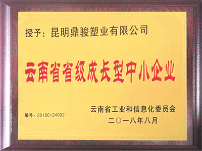 BBIN宝盈集团-云南省省级成长型中小企业