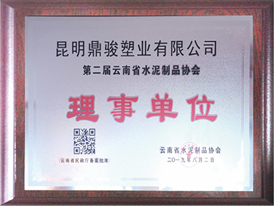 BBIN宝盈集团-云南省水泥制品协会理事单位证书