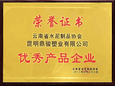 BBIN宝盈集团杰出产品企业荣誉