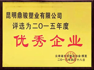 BBIN宝盈集团2015年杰出企业荣誉